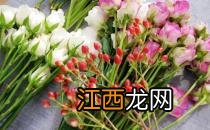 自制美容花草护肤品：玫瑰润肤水