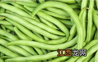 怎么淹茄子咸菜带蒜的