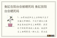 鱼缸在阳台会被晒死吗 鱼缸放阳台会晒死吗