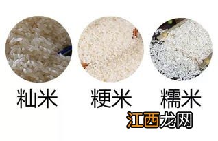 水稻按粒形和粒质可分为哪三类