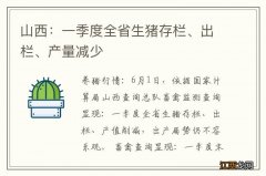 山西：一季度全省生猪存栏、出栏、产量减少