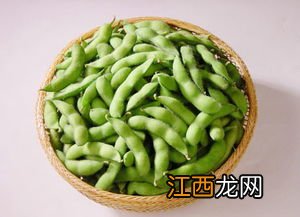 毛豆做多久