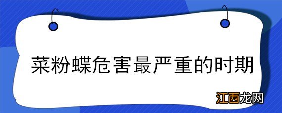 菜粉蝶危害最大的时期 菜粉蝶危害最严重的时期