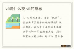 v5是什么梗 v5的意思