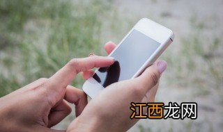 二师兄是什么梗 二师兄的意思