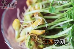 怎么泡绿豆苗