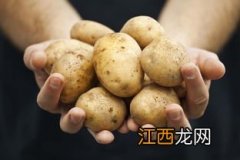 两个月的小鸡长土豆吃什么药