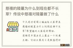 慈禧的陵墓为什么到现在都不长草？传说中慈禧对陵墓做了什么？