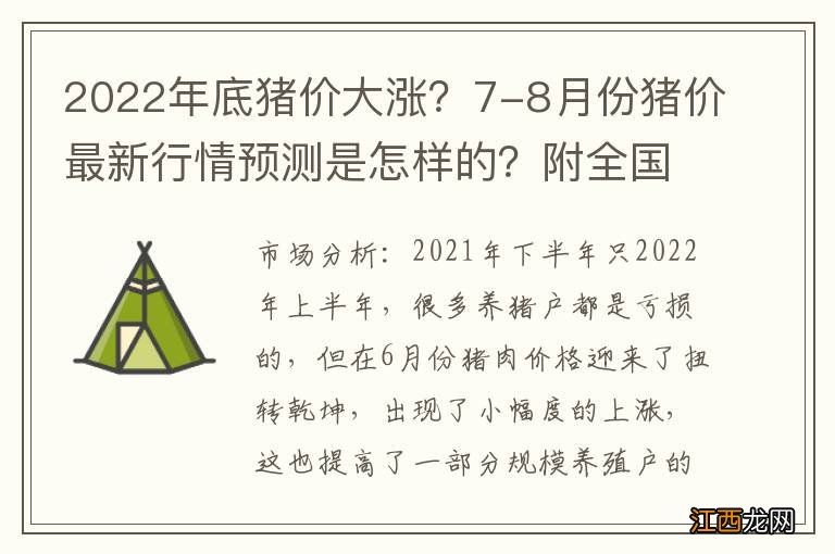 2022年底猪价大涨？7-8月份猪价最新行情预测是怎样的？附全国猪肉