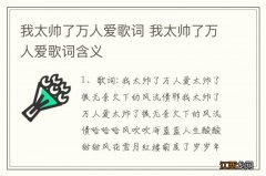 我太帅了万人爱歌词 我太帅了万人爱歌词含义