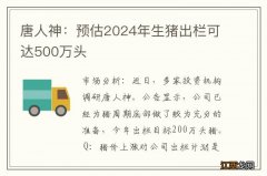 唐人神：预估2024年生猪出栏可达500万头