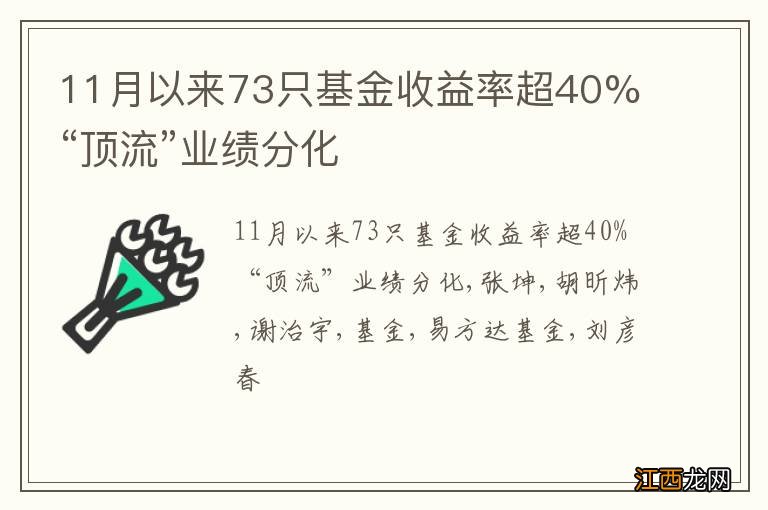 11月以来73只基金收益率超40% “顶流”业绩分化