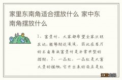 家里东南角适合摆放什么 家中东南角摆放什么