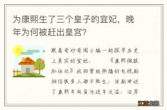 为康熙生了三个皇子的宜妃，晚年为何被赶出皇宫？