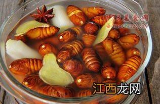 为什么用盐水煮蚕蛹