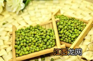 在家里怎么种绿豆呢