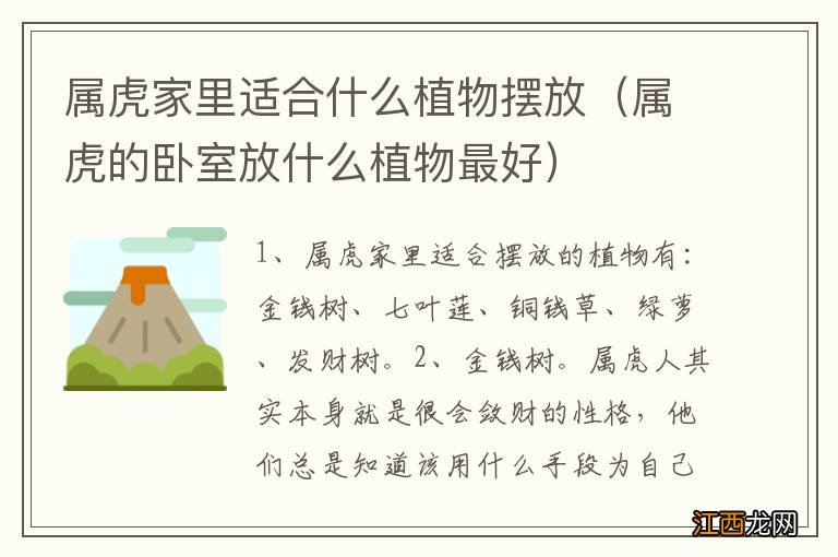 属虎的卧室放什么植物最好 属虎家里适合什么植物摆放