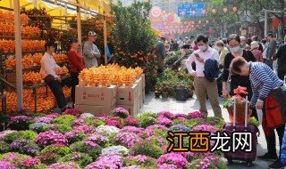 春节家里放什么盆景好 春节家里适合摆放什么盆栽