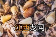 花螺煮多长时间可以吃 花螺怎么煮好吃