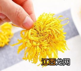 金丝菊花怎么泡