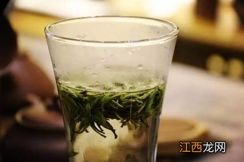 江西绿茶怎么泡