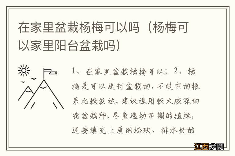 杨梅可以家里阳台盆栽吗 在家里盆栽杨梅可以吗