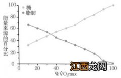 运动超过30分钟才能消耗脂肪吗-怎样运动脱脂最有效