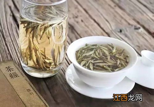 贵州白茶怎么样