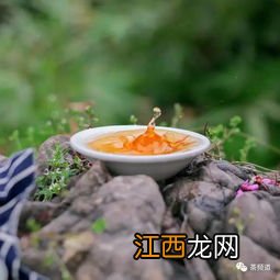 茶叶香松怎么做