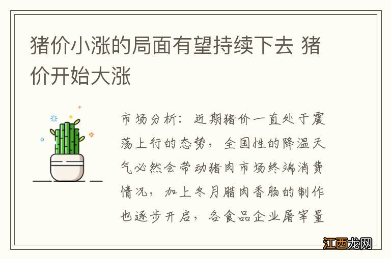 猪价小涨的局面有望持续下去 猪价开始大涨
