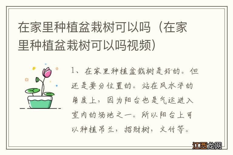 在家里种植盆栽树可以吗视频 在家里种植盆栽树可以吗