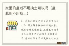 盆栽用不用换土 家里的盆栽不用换土可以吗