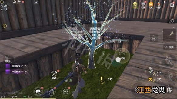 妄想山海神树枝条怎么获得 妄想山海神树枝条获得途径一览