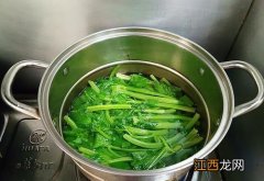 芹菜和肉还能放什么菜吃馅