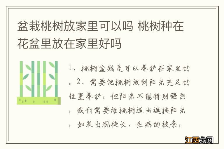 盆栽桃树放家里可以吗 桃树种在花盆里放在家里好吗