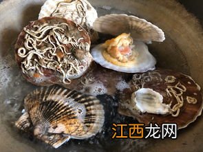 海鲜捞汁适合做什么菜