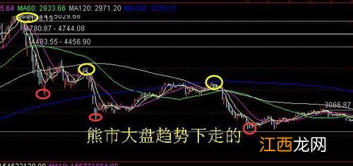 是不是熊市就不能炒股了-怎么判断股市进入熊市了