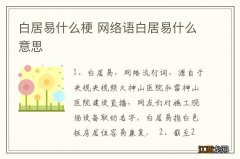 白居易什么梗 网络语白居易什么意思