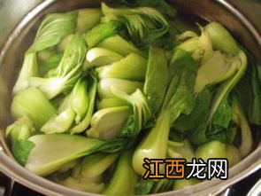 香菇青菜包用什么菜