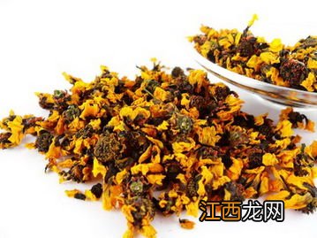 昆仑胎菊怎么鉴别