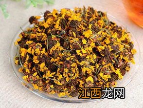 昆仑胎菊怎么鉴别