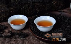 泾阳根社茯茶怎么泡