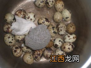 卤鹌鹑蛋用什么茶叶