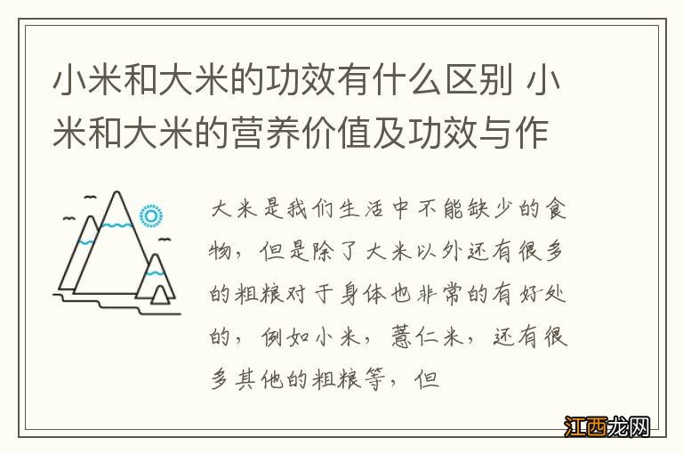 小米和大米的功效有什么区别 小米和大米的营养价值及功效与作用