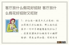 客厅放什么假花好招财 客厅放什么假花好招财又旺财