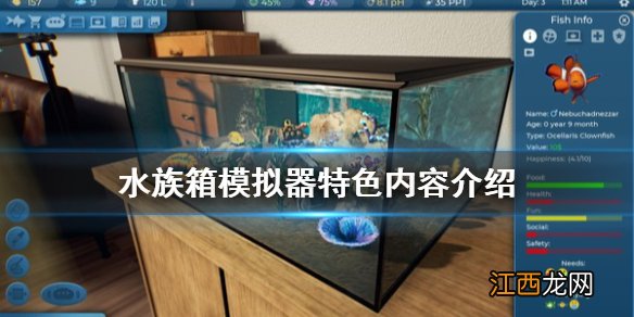 水族箱模拟器好玩吗 水族箱模拟器特色内容介绍