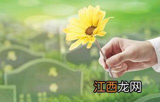 2022清明扫墓哪个时间段人最多-清明节扫墓如何避开人流高峰期