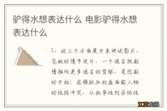 驴得水想表达什么 电影驴得水想表达什么