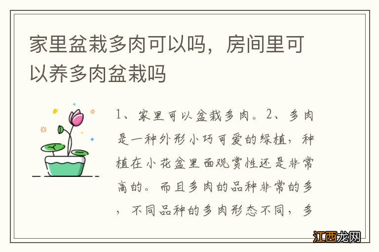 家里盆栽多肉可以吗，房间里可以养多肉盆栽吗