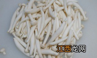 白玉菇家里盆栽可以吗，白玉菇能不能